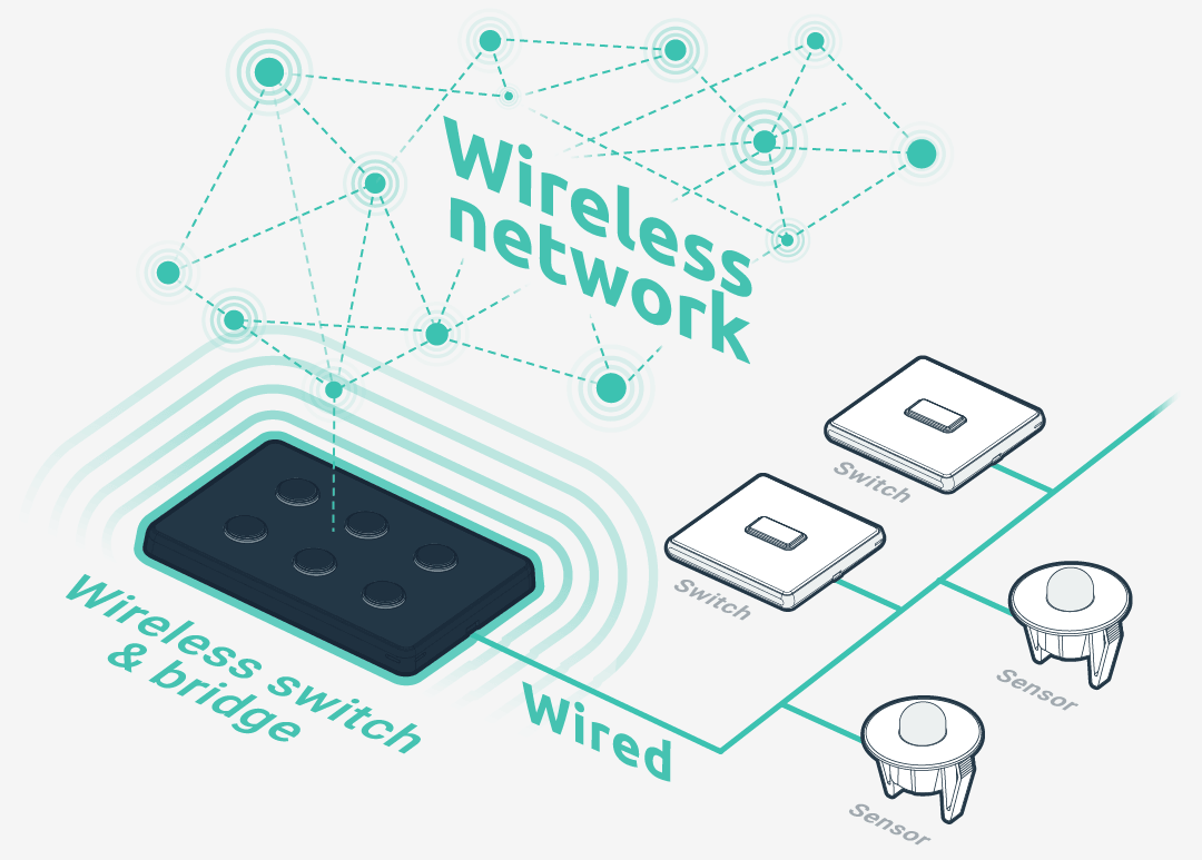 wireless network vector